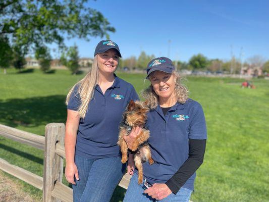 High Tail Dog Training