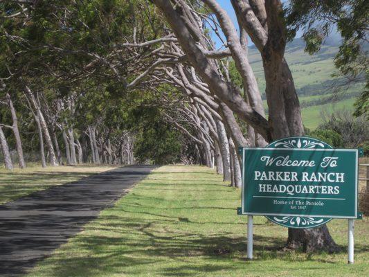 Parker Ranch