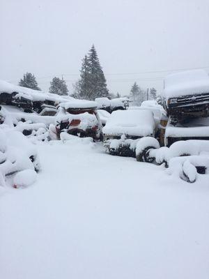 Ram Light Truck Salvage