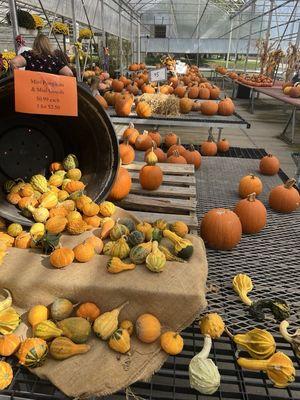 Motts Greenhouse & Cider Mill