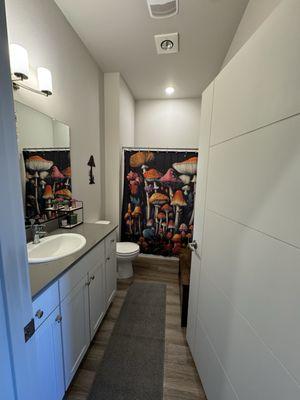 The main bathroom - room enough for my incognito cat box