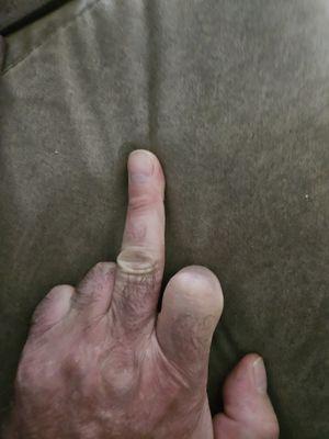 State Farm Insurance