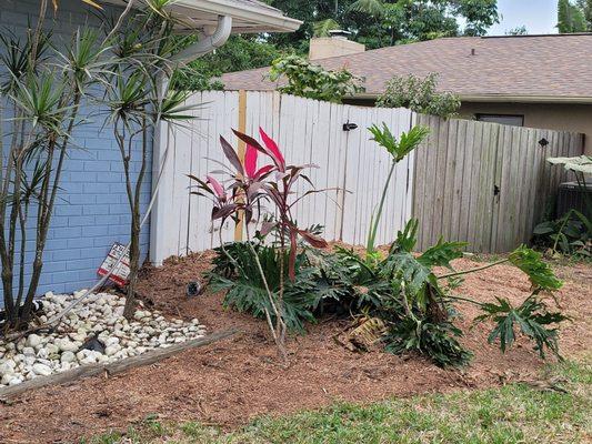 Darinels Tree Service More