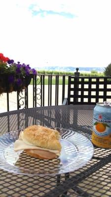 Picnic on the patio.