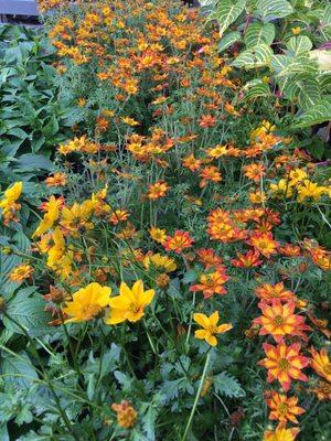 Meinke Garden Center