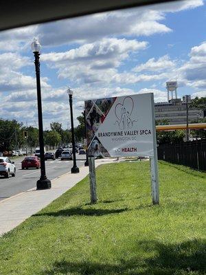 Brandywine Valley SPCA