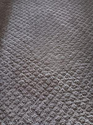 Clean Bee Flooring & Upholstery Care