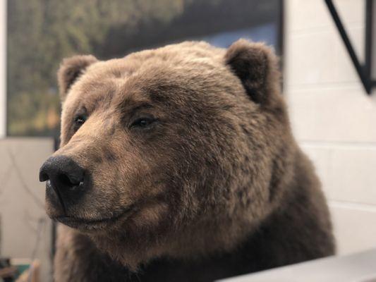 Werner Wildlife Museum