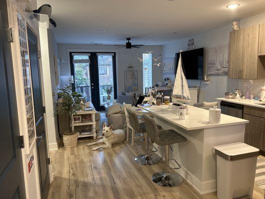 Kitchen to living area