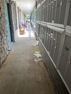 Heights at The Cameron