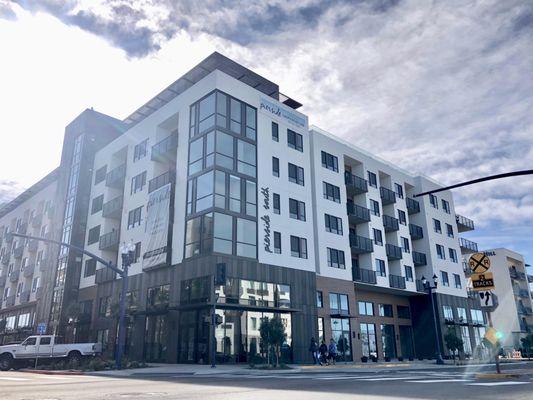 Long Glazing & Doors