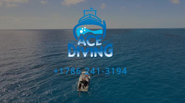 Ace Diving Miami