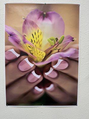 Acrylics with French tip