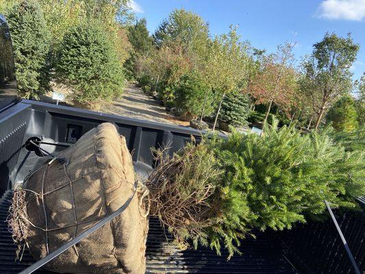 North Branch Nursery