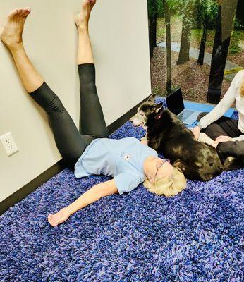 Pain Free Posture Clinic