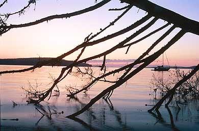 Incredible from Turn Island