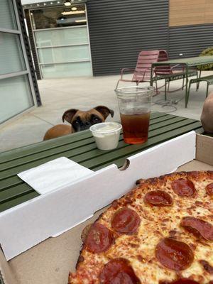 pizza, patio, puppy