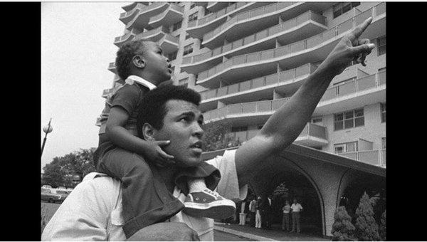 Towers of Windsor Park Apartment Homes