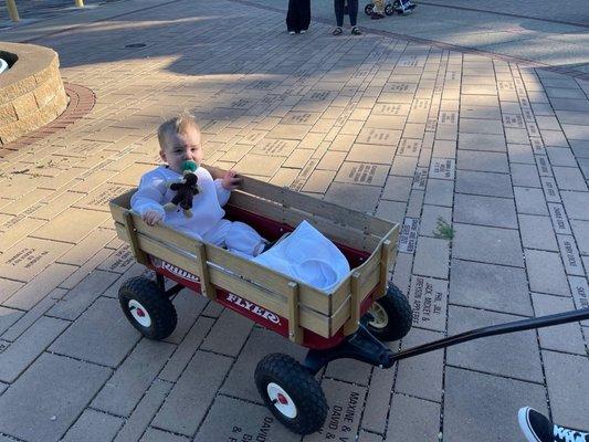 Scovill Children's Zoo