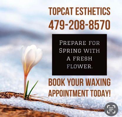 TopCat Essential Esthetics