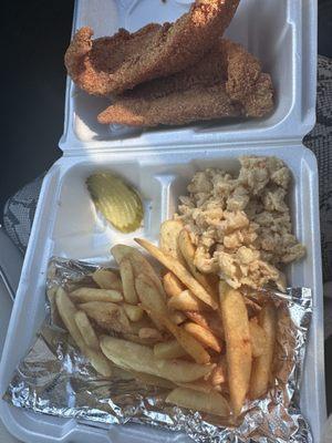 Small Catfish plate: 2 fillets with mac n cheese, and fries