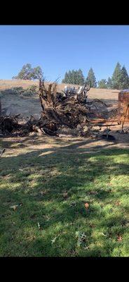 Clean And Sober Hauling