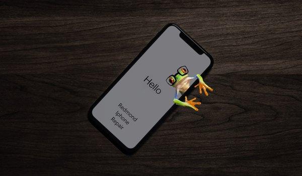 Redmond Iphone Repair