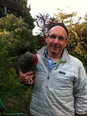 one of my barred rocks lets me pick her up sometimes