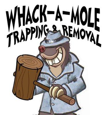 Whack-A-Mole Trapping & Removal