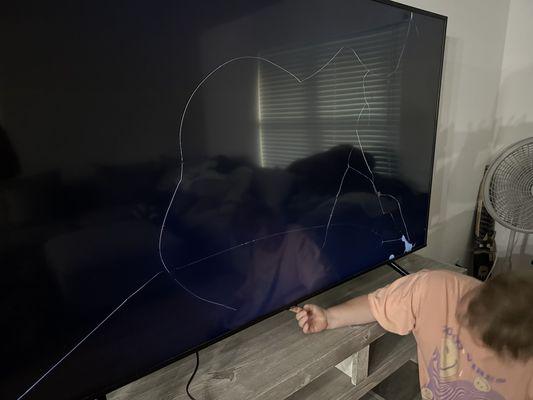 Zippy Shell of NYC & NNJ