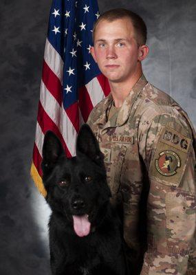 V12 Dog training and Car Detailing