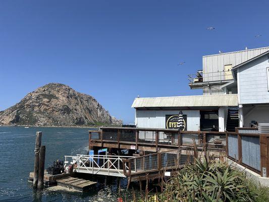 Morro Bay Oyster Company
