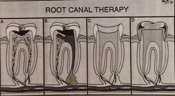 Aventura Endodontic Group