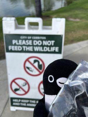 Iron-Wood Nine Golf Course