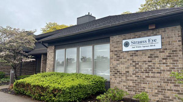 Strauss Eye Prosthetics