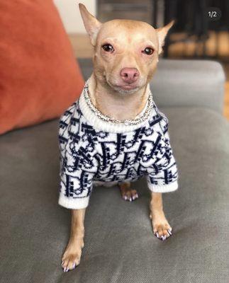 Wave Veterinary Emergency