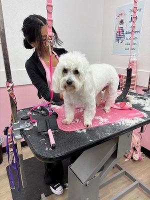 Woof Gang Bakery & Grooming El Paso