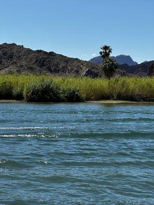 Shipwrecked Pirate Bar and Cafe