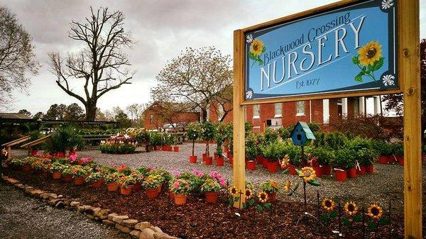 Blackwood Crossing Greenhouse & Florist