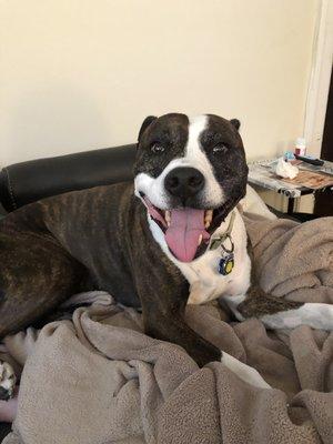 Another Happy Client