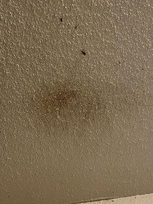 7979 Westheimer Apartments