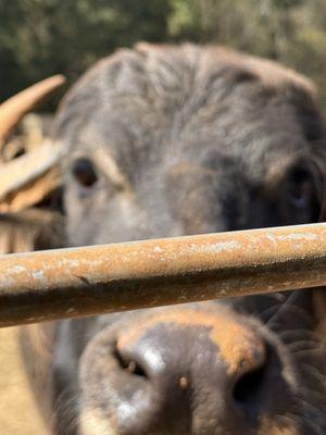 I will rocknyour world!