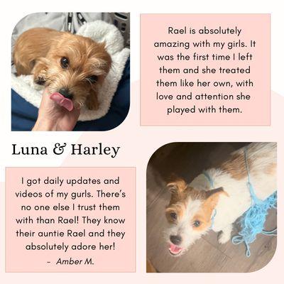 Purrs & Paws Pet Services