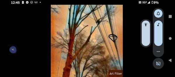 Newleaf Tree Service