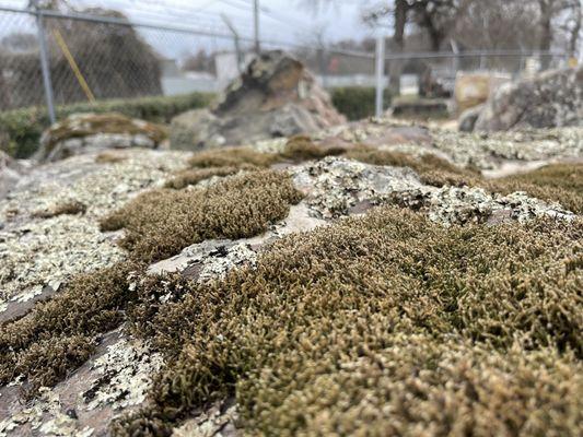 Chesshir Stone & Rock Supply