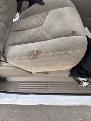 Trans Tech Auto & Truck