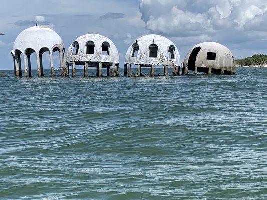 Marco Island Eco Tours