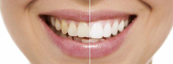 Bieszka Robert L DDS