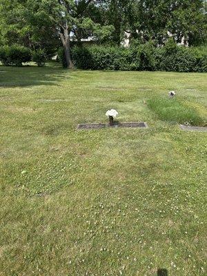 Chapel Hill Gardens West Funeral Home & Cemetery