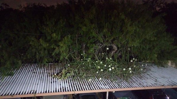 Plaza Royale Apartments